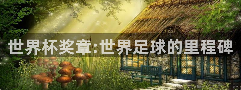 足球世界杯2026：世界杯奖章:世界足球的里程碑
