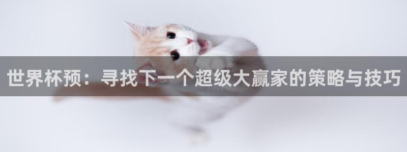 世界杯预选赛赛程表：世界杯预：寻找下一个超级大赢家的策略与技巧
