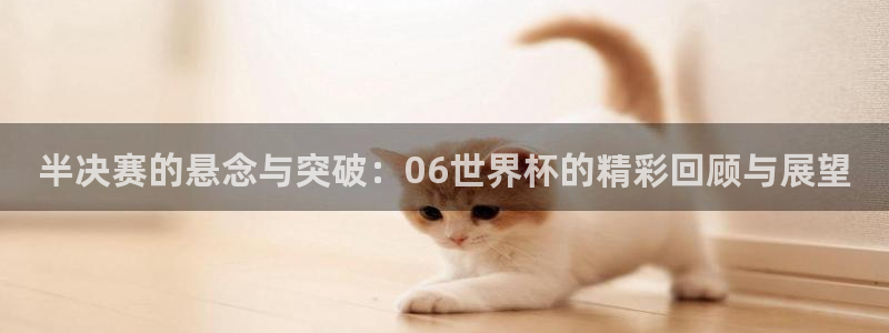 免费看足球直播比赛：半决赛的悬念与突破：06世界杯的精彩回顾与展望
