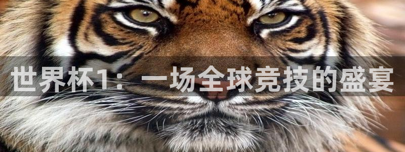 世界杯2026预选赛：世界杯1：一场全球竞技的盛宴