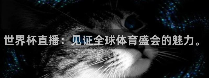 2026世预赛赛程：世界杯直播：见证全球体育盛会的魅力。