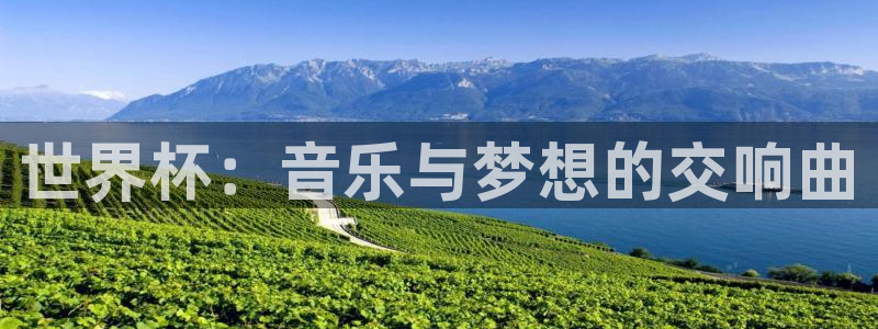 2026世界杯倒计时：世界杯：音乐与梦想的交响曲