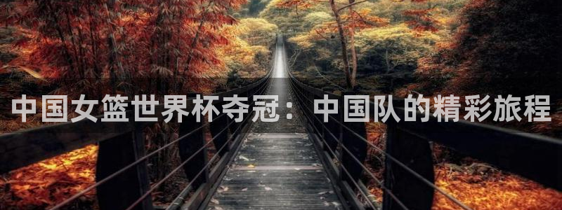 世界杯球队：中国女篮世界杯夺冠：中国队的精彩旅程