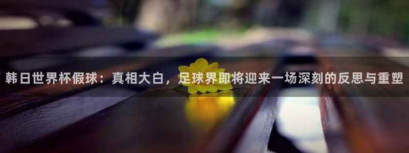 世界杯球赛：韩日世界杯假球：真相大白，足球界即将迎来一场深刻的反思与重塑