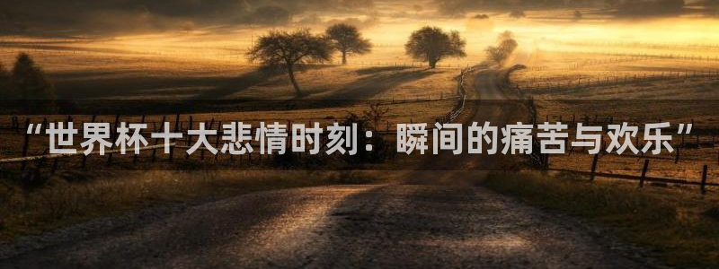 2026世界杯对阵图：“世界杯十大悲情时刻：瞬间的痛苦与欢乐”