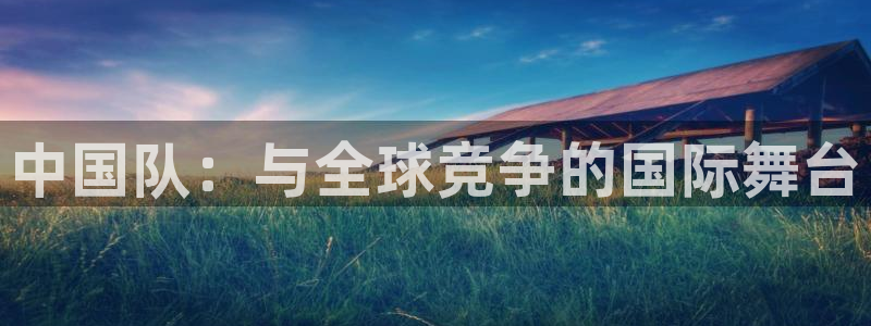 世界杯直播网站：中国队：与全球竞争的国际舞台