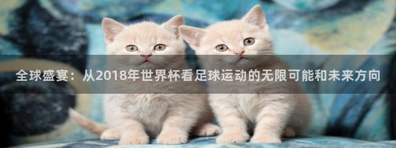 2026世界杯对阵图:全球盛宴:从2018年世界杯看足球运动的无限可能和未来方向